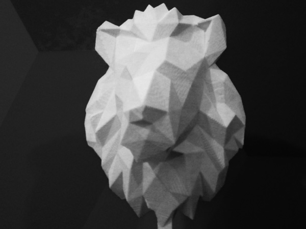 leone origami_600x800